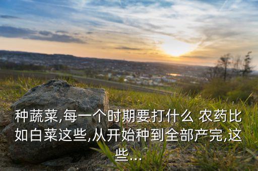 種蔬菜,每一個時期要打什么 農藥比如白菜這些,從開始種到全部產完,這些...