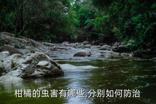 柑橘的蟲害有哪些,分別如何防治