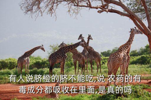 有人說臍橙的臍不能吃,說 農藥的有毒成分都吸收在里面,是真的嗎