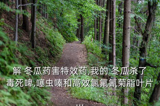 冬瓜噴什么農(nóng)藥吹大,冬瓜一般用什么農(nóng)藥