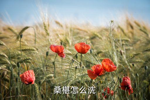 桑葚紅色催熟用什么農(nóng)藥