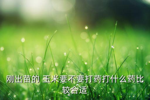 剛出苗的 玉米要不要打藥打什么藥比較合適