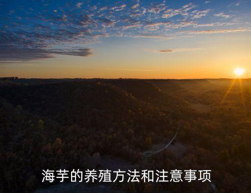  海芋的養殖方法和注意事項