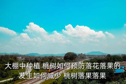 大棚中種植 桃樹如何預(yù)防落花落果的發(fā)生如何減少 桃樹落果落果