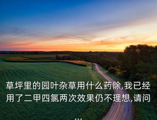 草坪里的園葉雜草用什么藥除,我已經用了二甲四氯兩次效果仍不理想,請問...