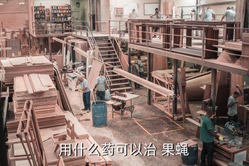 桃園果蠅用什么農(nóng)藥,什么農(nóng)藥殺死果蠅