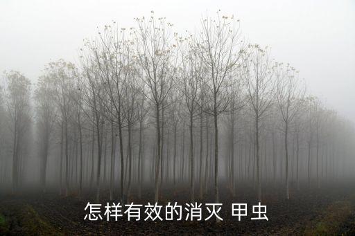 茶樹臭甲蟲用什么農藥好,打跳甲蟲什么農藥好