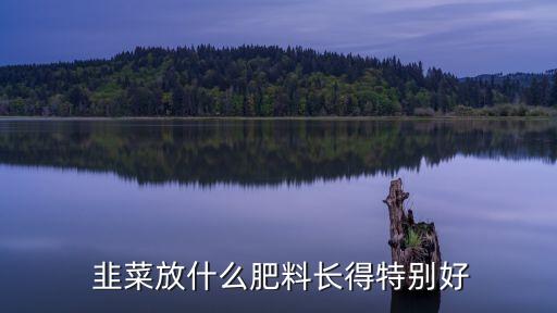 韭菜用什么農(nóng)藥張的快,韭菜殘留什么農(nóng)藥