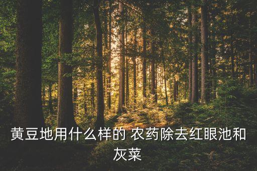 黃豆地用什么樣的 農藥除去紅眼池和灰菜
