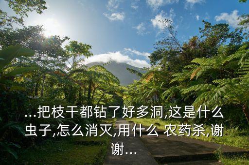 映山紅褐斑病用什么農藥
