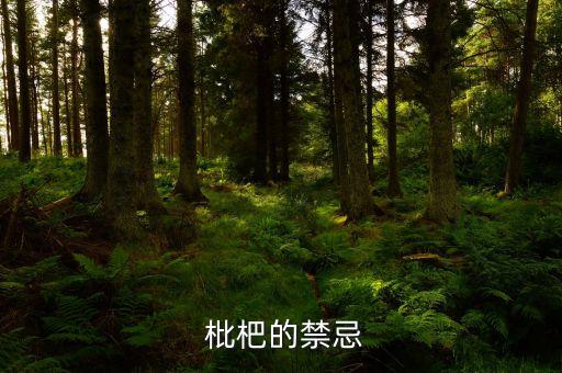  枇杷的禁忌