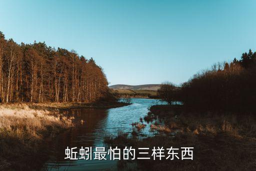 黑蚯蚓怕什么農(nóng)藥消毒呢,地下蚯蚓最怕什么農(nóng)藥