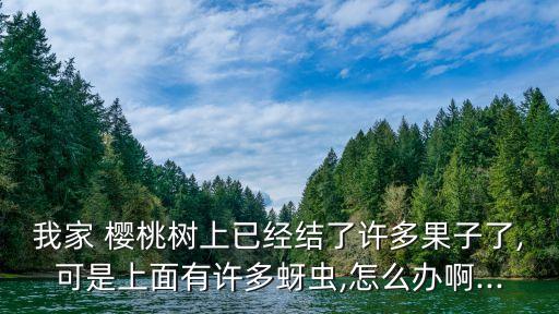 我家 櫻桃樹上已經結了許多果子了,可是上面有許多蚜蟲,怎么辦啊...