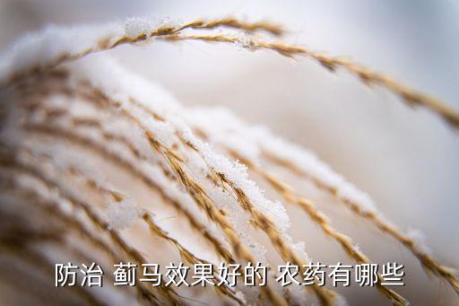 豆角薊馬用什么農(nóng)藥,豆角上的薊馬特效農(nóng)藥