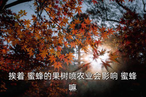 農藥對蜜蜂有什么用,什么農藥殺蜜蜂效果好