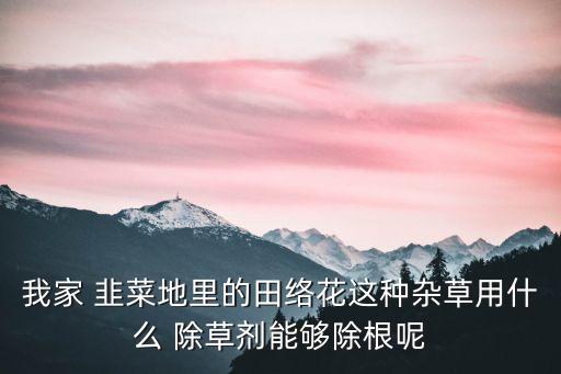 我家 韭菜地里的田絡花這種雜草用什么 除草劑能夠除根呢