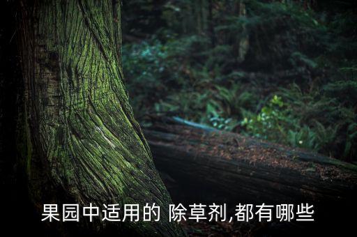 樹地里打什么農藥能除草,打樹用什么農藥