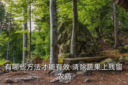 有哪些方法才能有效 清除蔬果上殘留 農藥