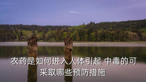  農藥是如何進入人體引起 中毒的可采取哪些預防措施