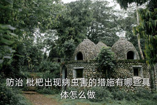 防治 枇杷出現(xiàn)病蟲害的措施有哪些具體怎么做