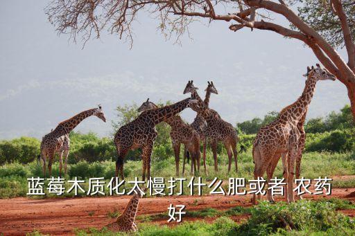 種植藍莓需要什么農藥,藍莓種植與管理
