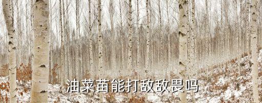  油菜苗能打敵敵畏嗎