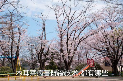 木耳菌地怕什么農藥,木耳上的鈣絲菌最怕什么