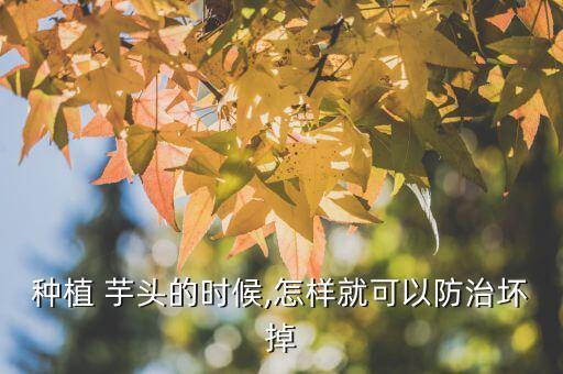 芋頭爛葉用什么農藥,辣椒爛葉用什么農藥好
