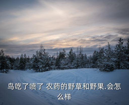 鳥兒為什么不吃農(nóng)藥,吃農(nóng)藥為什么會死