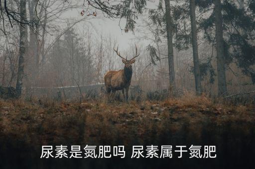 肥料尿素屬于什么類別農(nóng)藥,車用尿素屬于什么類別