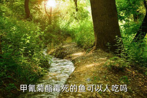 什么魚能吃農(nóng)藥,魚吃農(nóng)藥一下子會(huì)死嗎