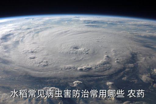 水稻常見病蟲害防治常用哪些 農藥