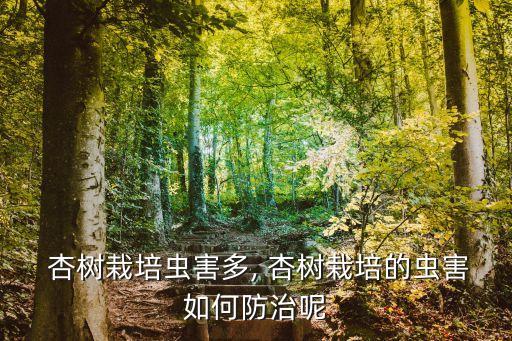 杏樹什么時間打藥,杏樹用什么農(nóng)藥打藥
