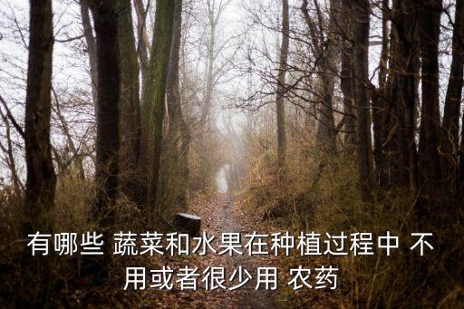 有哪些 蔬菜和水果在種植過程中 不用或者很少用 農藥