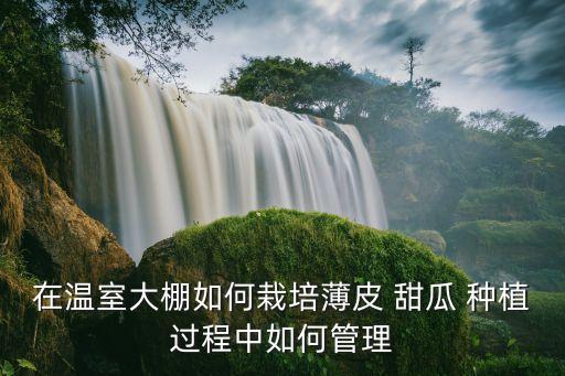 甜瓜種植期用什么農藥,甜瓜在什么季節種植