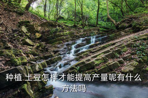 白菜噴農藥什么時候可以吃,什么時候給土豆噴農藥
