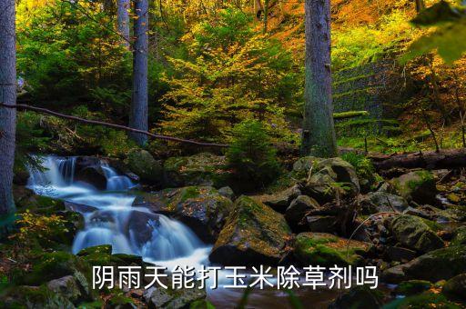 陰雨天打什么農藥好點