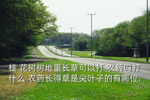 桂 花樹樹地里長草可以打 農藥嗎打什么 農藥長得草是尖葉子的有哪位...