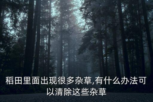 稻田里面出現很多雜草,有什么辦法可以清除這些雜草