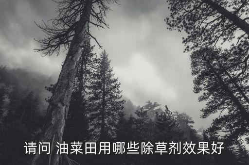 請(qǐng)問(wèn) 油菜田用哪些除草劑效果好