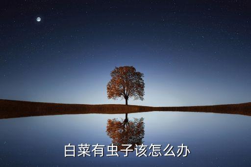 白菜米蟲(chóng)用什么農(nóng)藥,白菜打農(nóng)藥什么時(shí)間最好