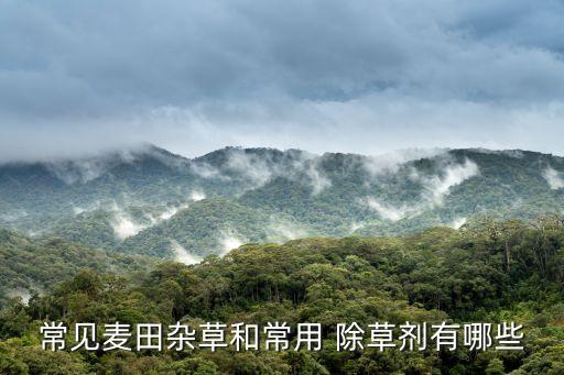 麥地里除草什么農(nóng)藥好,麥地除草用什么藥