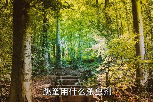  跳蚤用什么殺蟲劑