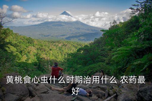 ,嘉祥出產的農藥是什么