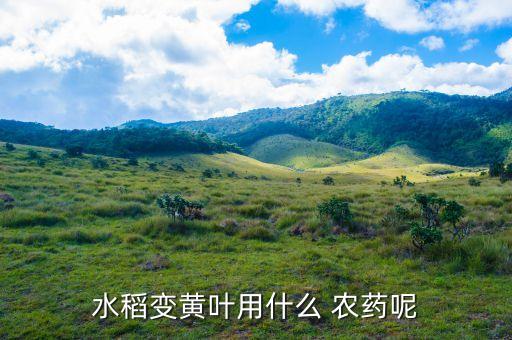 稻田什么農藥最好,炭疽病用什么農藥最好