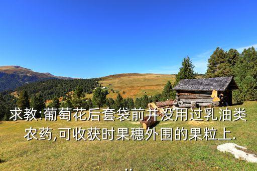 求教:葡萄花后套袋前并沒用過乳油類 農(nóng)藥,可收獲時果穗外圍的果粒上...