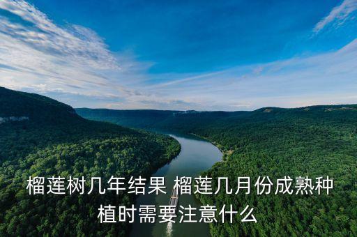 種榴蓮要什么農藥好用些