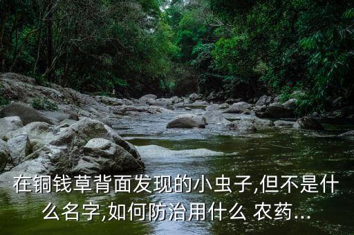 樸綠農藥是治什么