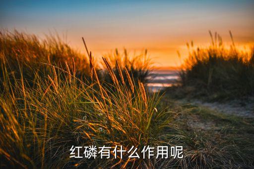 農藥用什么造的,農藥聞多了有什么后果