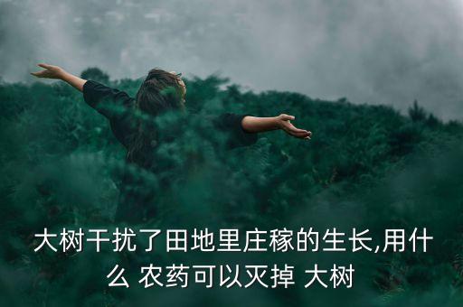  大樹干擾了田地里莊稼的生長,用什么 農藥可以滅掉 大樹
